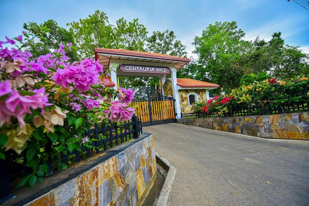 Hotel Centauria Wild Udawalawe Exteriér fotografie