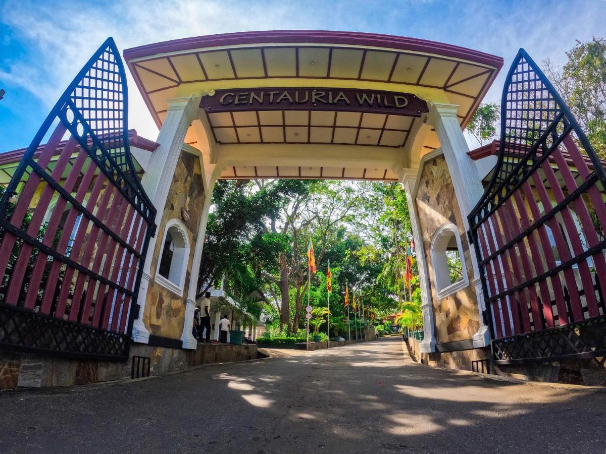Hotel Centauria Wild Udawalawe Exteriér fotografie